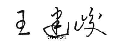 骆恒光王建峻草书个性签名怎么写