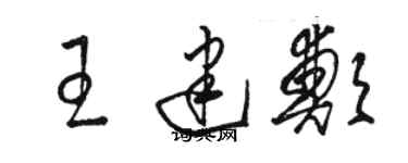 骆恒光王建郑草书个性签名怎么写