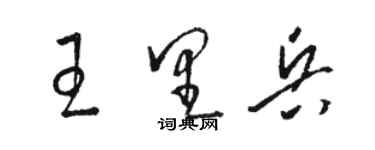 骆恒光王里兵草书个性签名怎么写