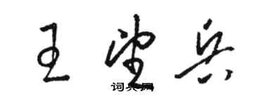 骆恒光王望兵草书个性签名怎么写