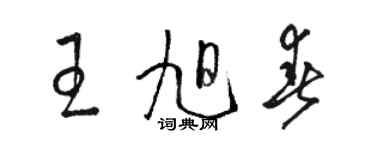 骆恒光王旭春草书个性签名怎么写