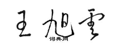 骆恒光王旭云草书个性签名怎么写