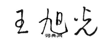 骆恒光王旭光草书个性签名怎么写