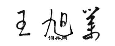 骆恒光王旭业草书个性签名怎么写