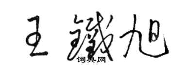 骆恒光王铁旭草书个性签名怎么写