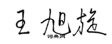 骆恒光王旭旋草书个性签名怎么写
