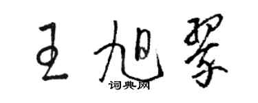 骆恒光王旭翠草书个性签名怎么写