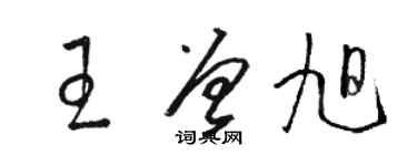 骆恒光王曾旭草书个性签名怎么写