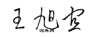 骆恒光王旭宜草书个性签名怎么写