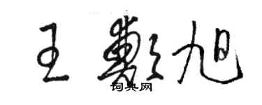 骆恒光王郑旭草书个性签名怎么写