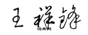 骆恒光王祥锋草书个性签名怎么写