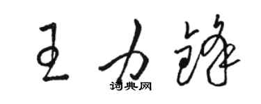 骆恒光王力锋草书个性签名怎么写