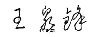 骆恒光王泉锋草书个性签名怎么写