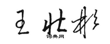 骆恒光王壮彬草书个性签名怎么写