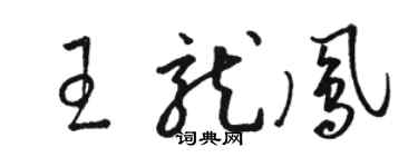 骆恒光王龙凤草书个性签名怎么写