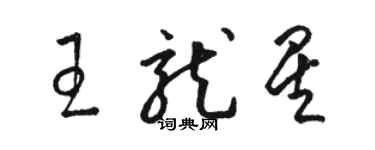 骆恒光王龙星草书个性签名怎么写