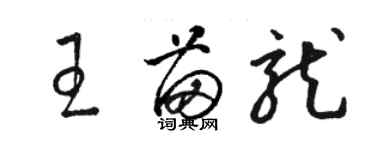 骆恒光王苗龙草书个性签名怎么写