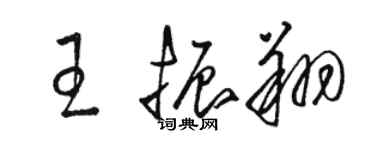 骆恒光王振翔草书个性签名怎么写