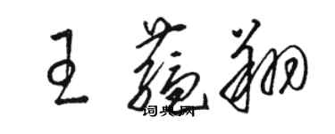骆恒光王蕴翔草书个性签名怎么写