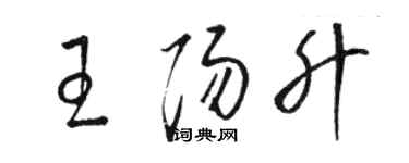 骆恒光王阳升草书个性签名怎么写