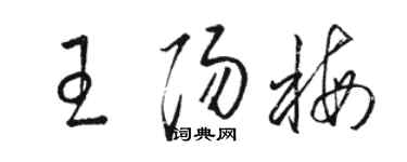 骆恒光王阳梅草书个性签名怎么写