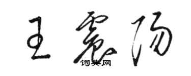 骆恒光王震阳草书个性签名怎么写