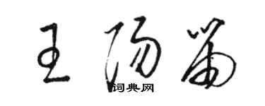 骆恒光王阳笛草书个性签名怎么写
