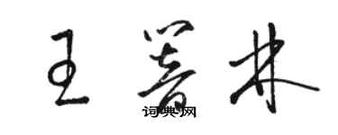 骆恒光王响林草书个性签名怎么写
