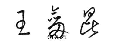 骆恒光王剑昆草书个性签名怎么写