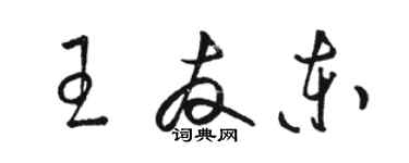 骆恒光王友东草书个性签名怎么写