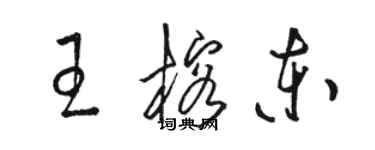 骆恒光王榕东草书个性签名怎么写