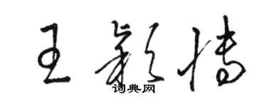骆恒光王颖博草书个性签名怎么写
