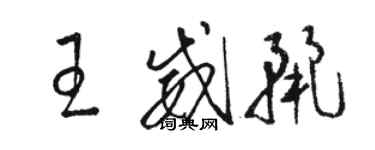 骆恒光王威丽草书个性签名怎么写