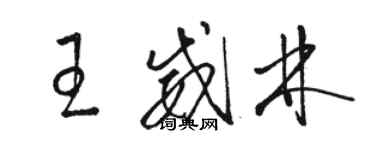 骆恒光王威林草书个性签名怎么写