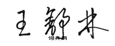 骆恒光王舒林草书个性签名怎么写