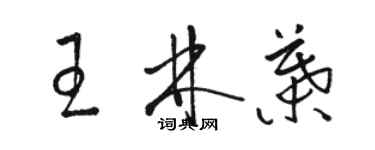 骆恒光王林叶草书个性签名怎么写