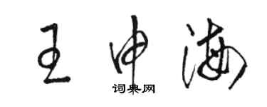 骆恒光王申海草书个性签名怎么写