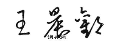 骆恒光王晨欢草书个性签名怎么写