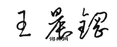 骆恒光王晨钢草书个性签名怎么写