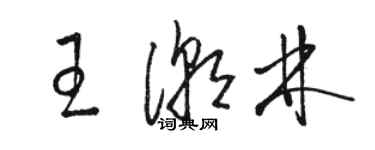 骆恒光王潮林草书个性签名怎么写
