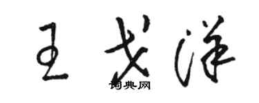 骆恒光王戈洋草书个性签名怎么写