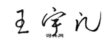 骆恒光王宇凡草书个性签名怎么写