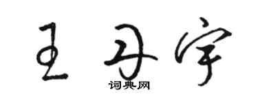 骆恒光王丹宇草书个性签名怎么写