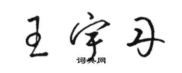 骆恒光王宇丹草书个性签名怎么写
