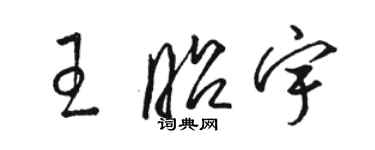 骆恒光王昭宇草书个性签名怎么写