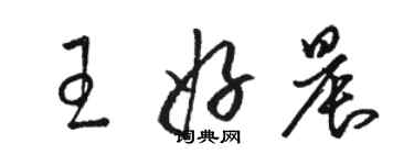 骆恒光王好晨草书个性签名怎么写