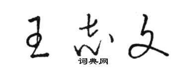 骆恒光王志文草书个性签名怎么写