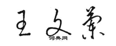 骆恒光王文兰草书个性签名怎么写