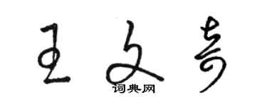 骆恒光王文奇草书个性签名怎么写