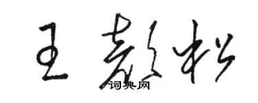 骆恒光王颜松草书个性签名怎么写